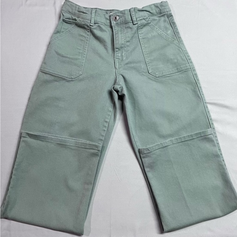 Levi Strauss Girls Relaxed Straight Carpenter Jeans Youth 14 Mint Green . NWOT